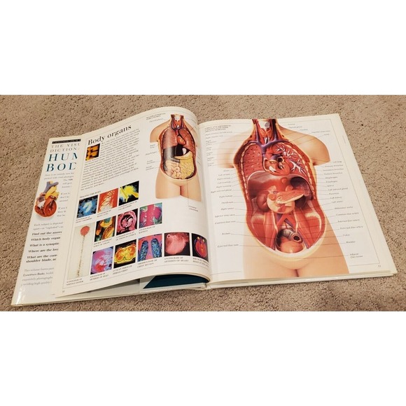 Eyewitness Visual Dictionaries: the Visual Dictionary of the Human Body by DK... - Picture 7 of 14